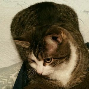 Meet your Posher, Sonja